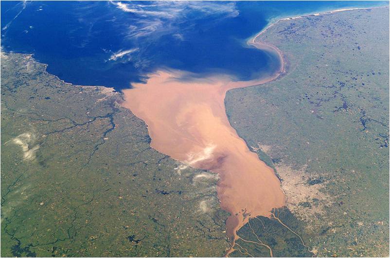 Cambio climático: cientos de especies se mudaron al Delta y al Río de la Plata