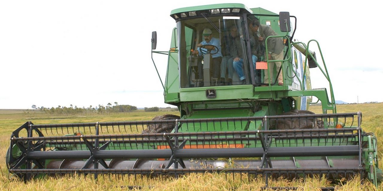 Uruguay vende 30.000 toneladas de arroz a Cuba