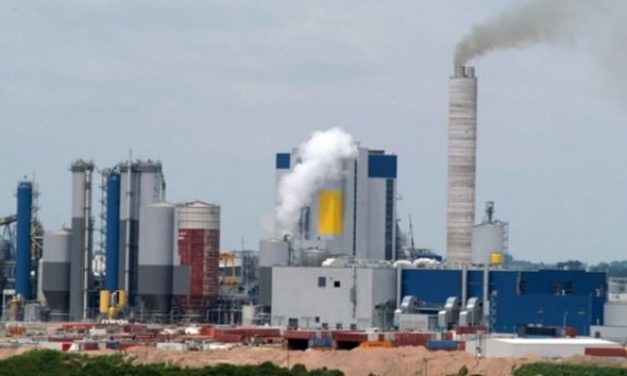 Cerro Largo, Durazno y Tacuarembó ofrecen terrenos para instalar las UPM