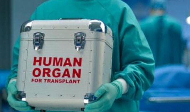 Aumentó 16% el número de donantes de órganos en Uruguay