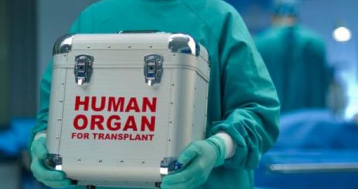 Aumentó 16% el número de donantes de órganos en Uruguay