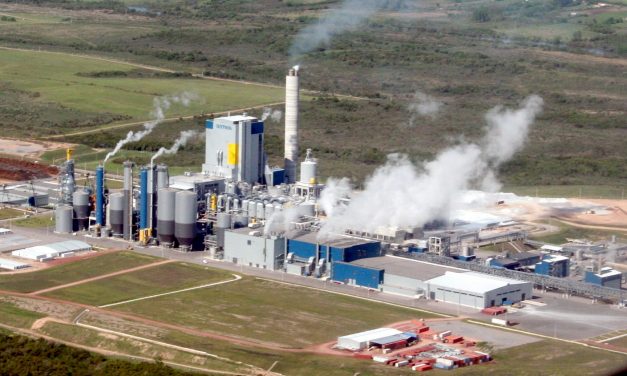 UPM considera aumentar su inversión en Uruguay con otra planta de celulosa