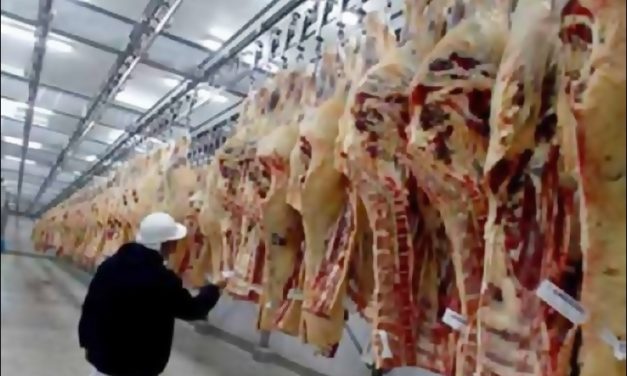 Crecen las exportaciones de carne