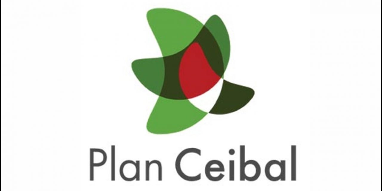 Plan Ceibal repartirá 30.000 placas programables a docentes y estudiantes de 5.° y 6.° de primaria