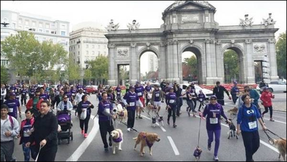 Más de 3.500 perros corrieron con sus dueños en un singular maratón