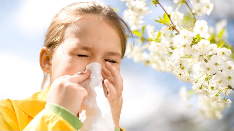Cómo combatir las alergias en Primavera