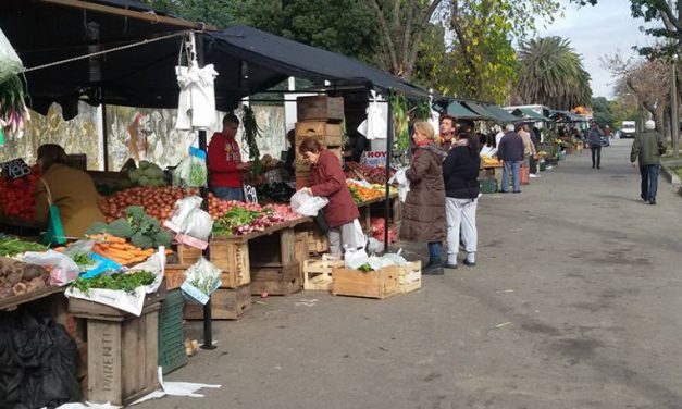 Vecinos de feria tendrán audiencia de conciliación previo a realizar demanda