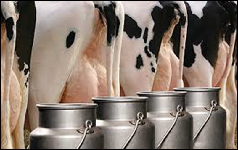 Se confirmó la suba de $1 en litro de leche común