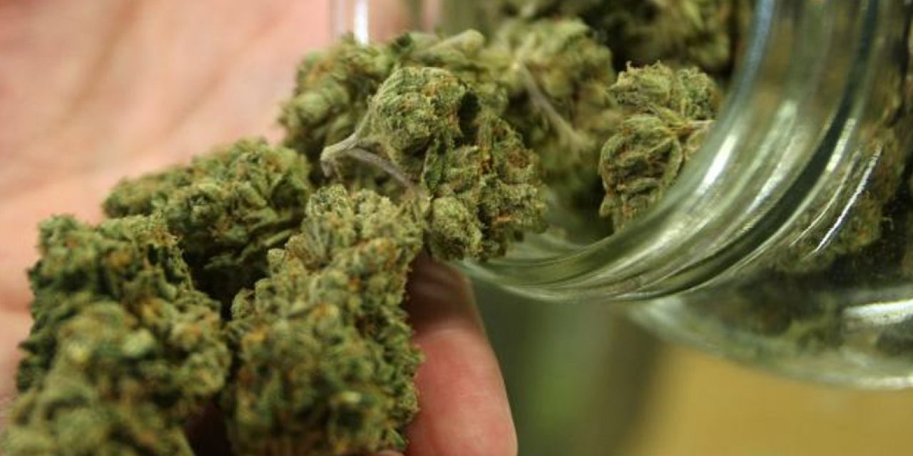 Gobierno firmó dos decretos para agilizar exportación de cannabis medicinal