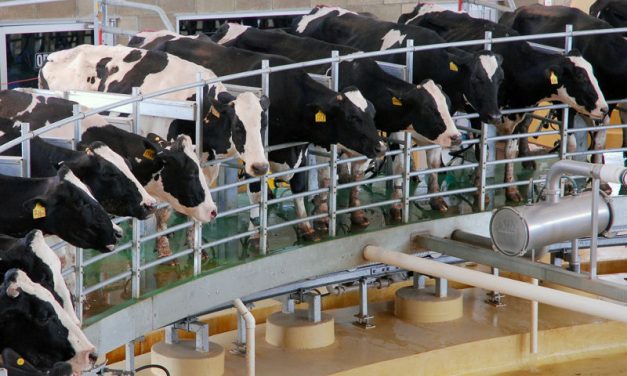 Suspensión de exportaciones abarca diversos productos lácteos