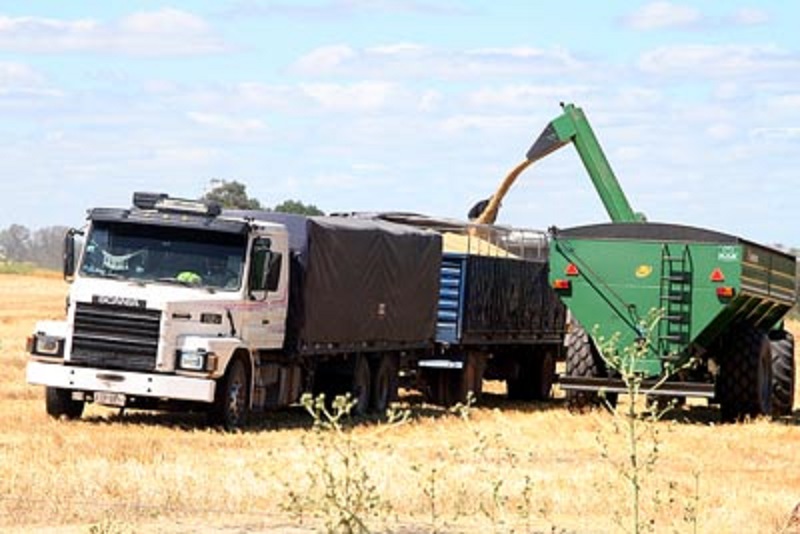 Productores agropecuarios vuelven a ser rehenes de los conflictos gremiales del transporte y combustible