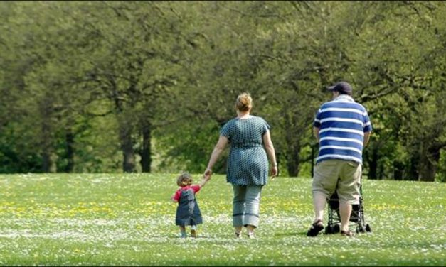 Presentaron proyecto de ley para prevención de la obesidad