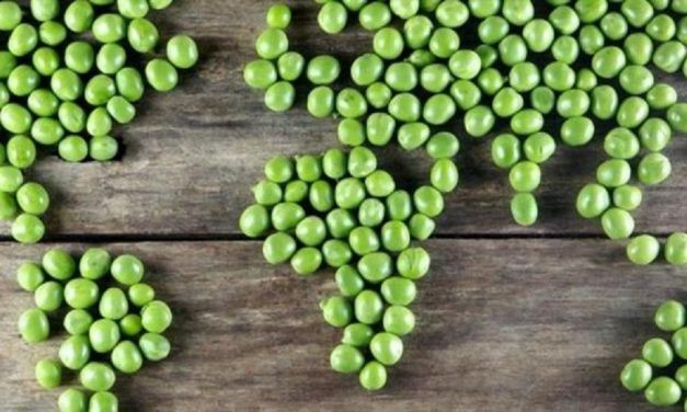 ¿Qué pasaría en el mundo si todos fuéramos vegetarianos?