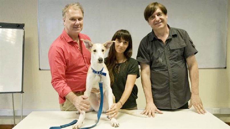 Presentaron en público a Anthony, el primer perro clonado de América latina