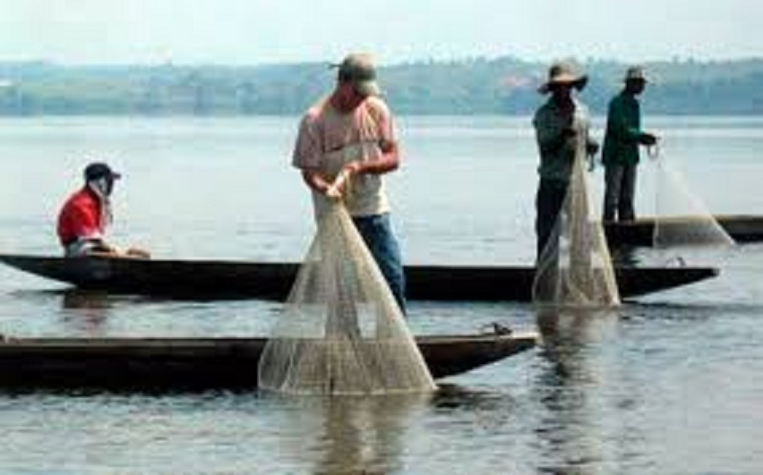 Pescadores artesanales en conflicto por precio que obtienen del sábalo