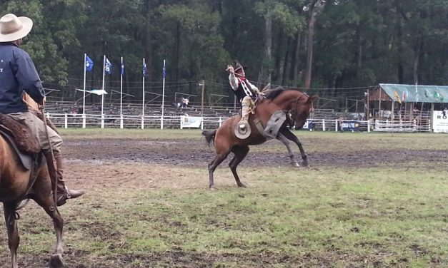 No se realizará la Criolla del Parque Roosevelt