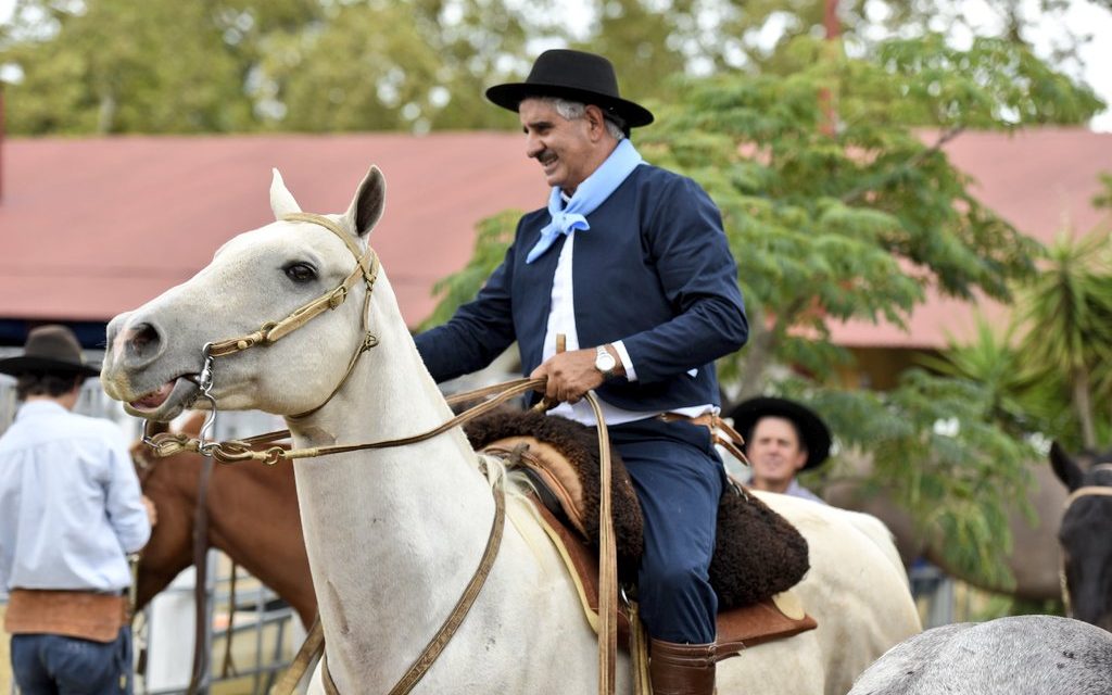 Murió un caballo en las jineteadas dpero aseguran que «no fue por un error humano»