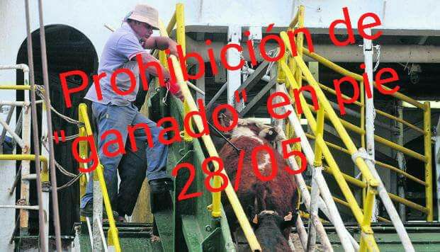 Movilización en el Puerto en reclamo de prohibir exportación de ganado en pié