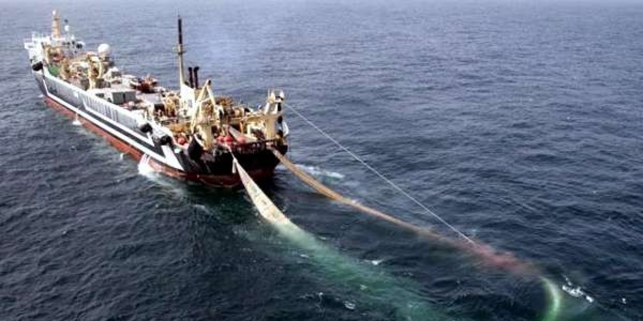 Se movilizan y están en alerta en La Paloma por la llegada de empresas pesqueras chinas que son denunciadas como «depredantes»