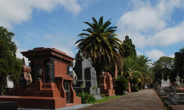 Intendencia evalúa proyecto para trasladar Cementerio del Buceo