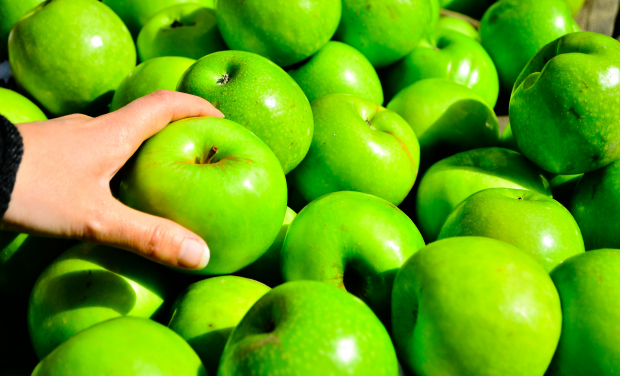 En los meses de primavera habrá faltante de manzanas y peras, dijo jerarca de MGAP