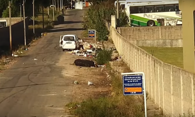 VIDEO: así tiran basura 1156 personas en lugares ilegales en Montevideo