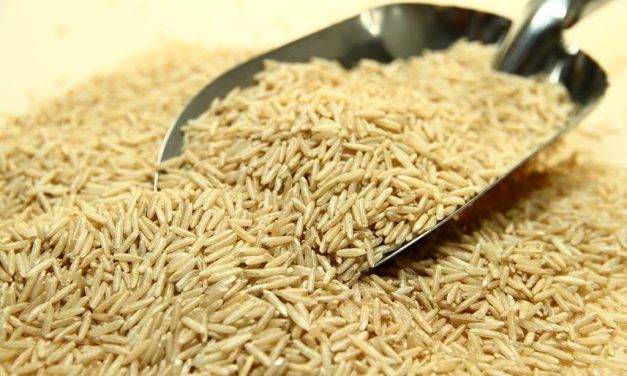 Alerta por arroz hurtado en Treinta y Tres