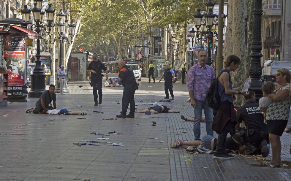 Los gatos inundan Barcelona luego del atentado con 13 muertos