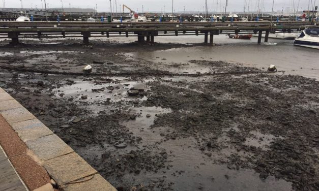¿Sabés lo que apareció cuando bajó la marea?