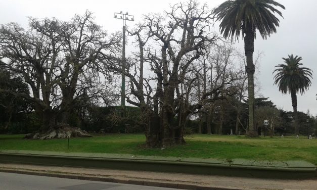 Obras en Avenida Buschental