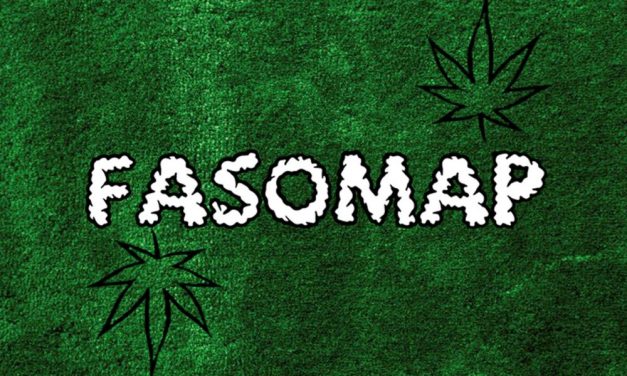 FASOMAP: una aplicación uruguaya para encontrar marihuana en farmacias