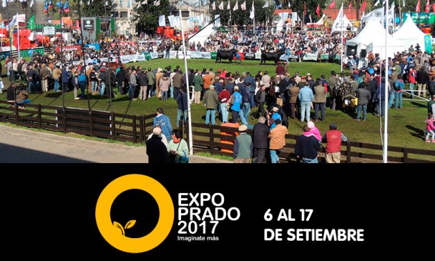 Comienza la Expo Prado 2017