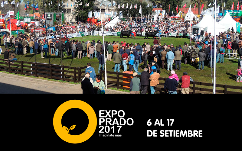 Comienza la Expo Prado 2017