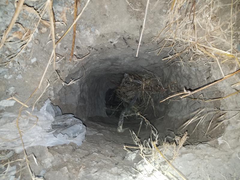 Encuentran túnel en la frontera México – USA