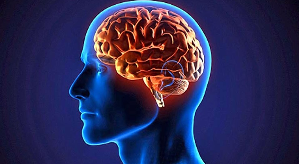 Las Neurociencias nos permiten conocer el cerebro para imitarlo
