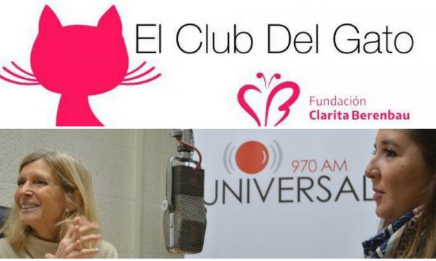 «El Club Del Gato»: El proyecto que busca donar pelucas a mujeres con cáncer
