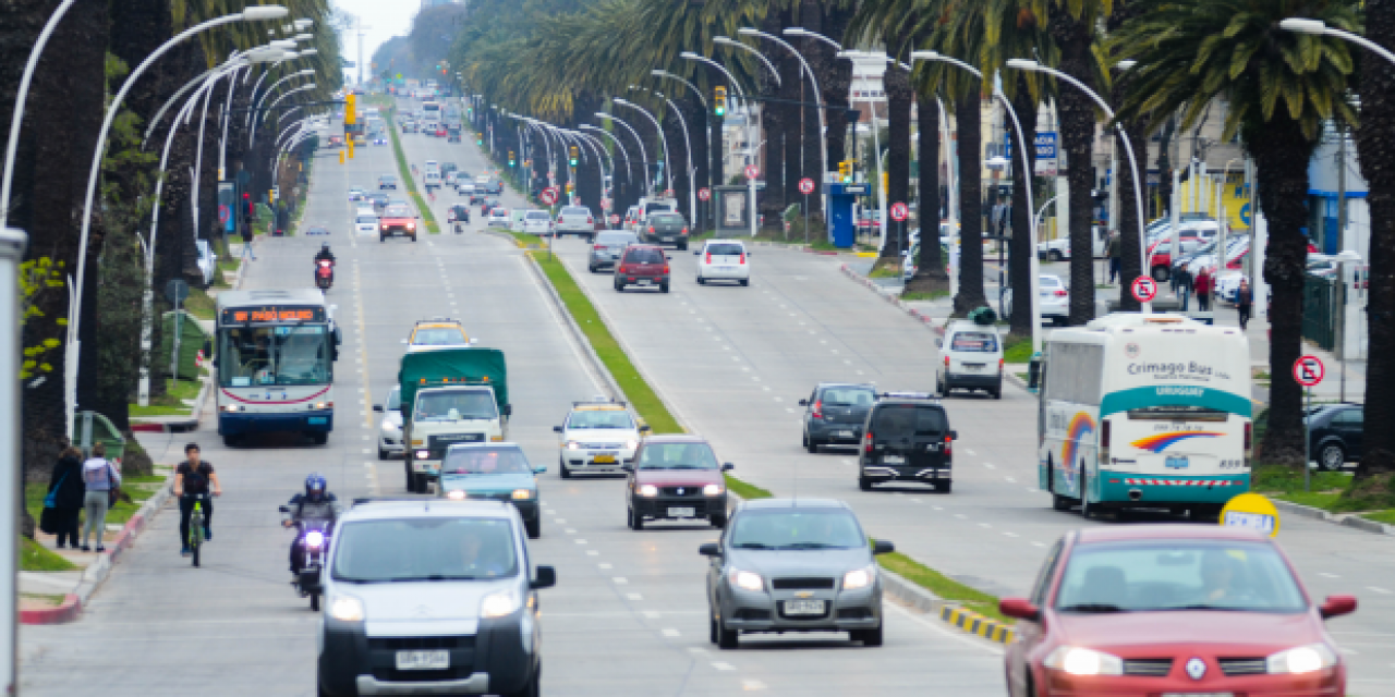 Senado aprueba proyecto para dar seguimiento a infracciones de tránsito a través de libreta con puntos