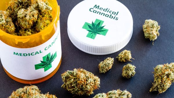 «En Abril Uruguay podría tener su propio Cannabis medicinal»