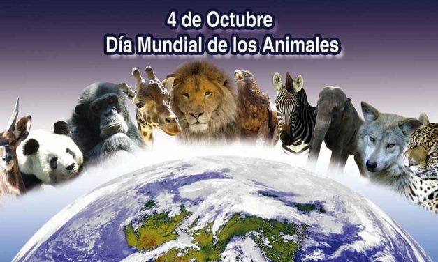 Se celebra el Día Mundial del Animal
