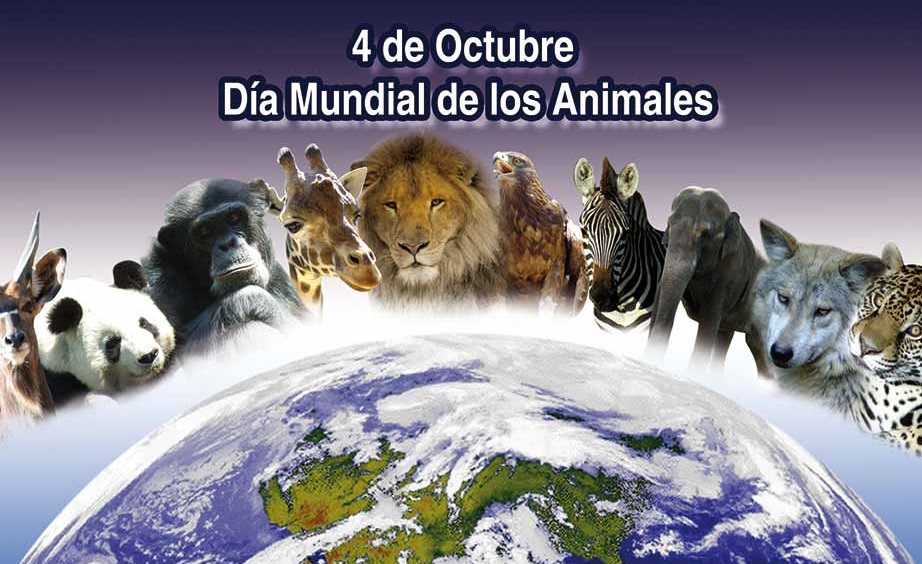 Se celebra el Día Mundial del Animal - 970 Universal