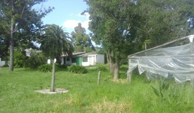 Intento de violación a maestra en una escuela de Montevideo