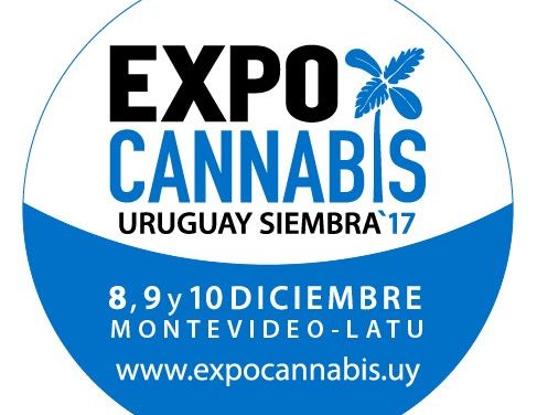 Creer o Reventar dentro de la Expocannabis