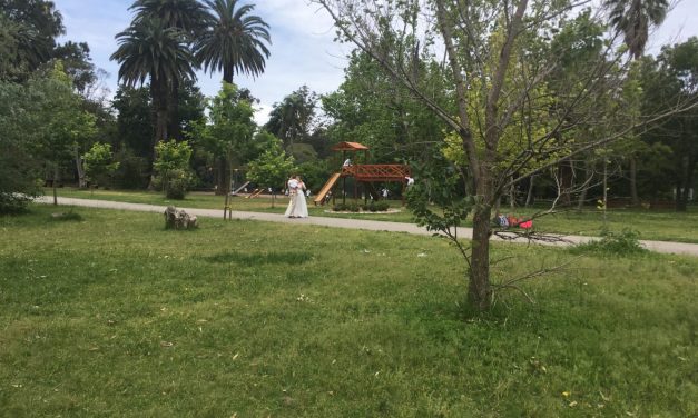 Cine a cielo abierto y semillas de regalo en el Botánico