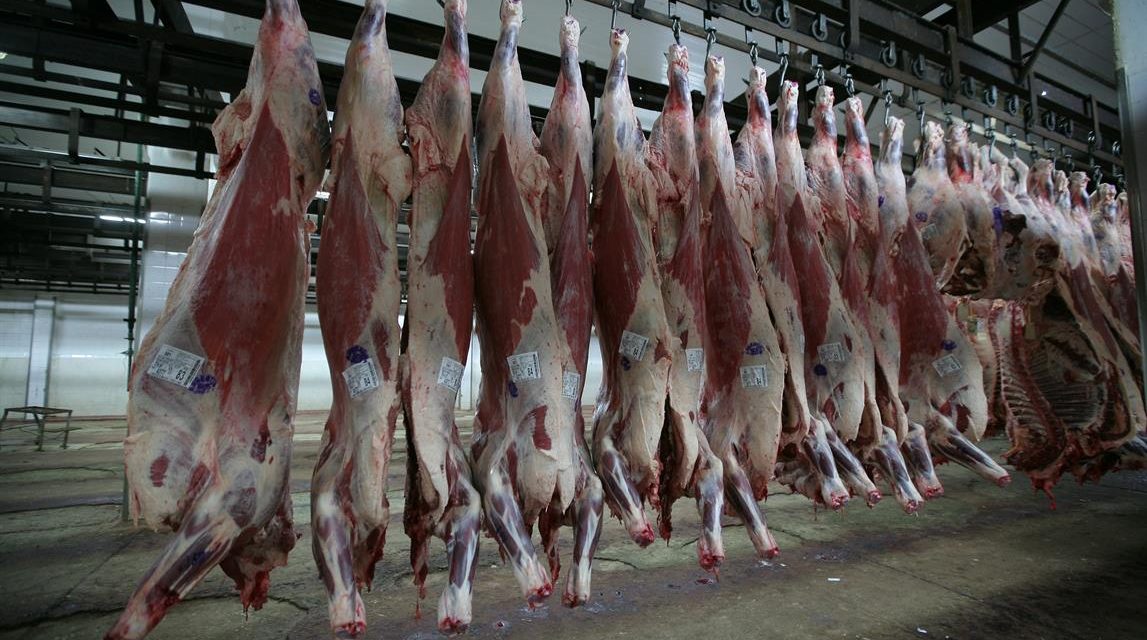 El frigorífico BPU podrá exportar carne a China