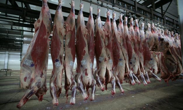 El frigorífico BPU podrá exportar carne a China