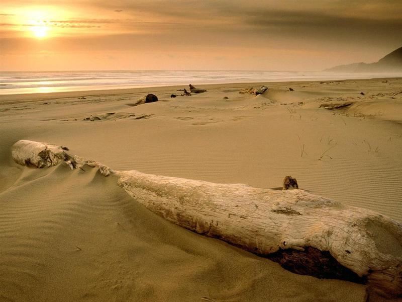 «Bascou tiene la solución para la falta de arena en las playas»