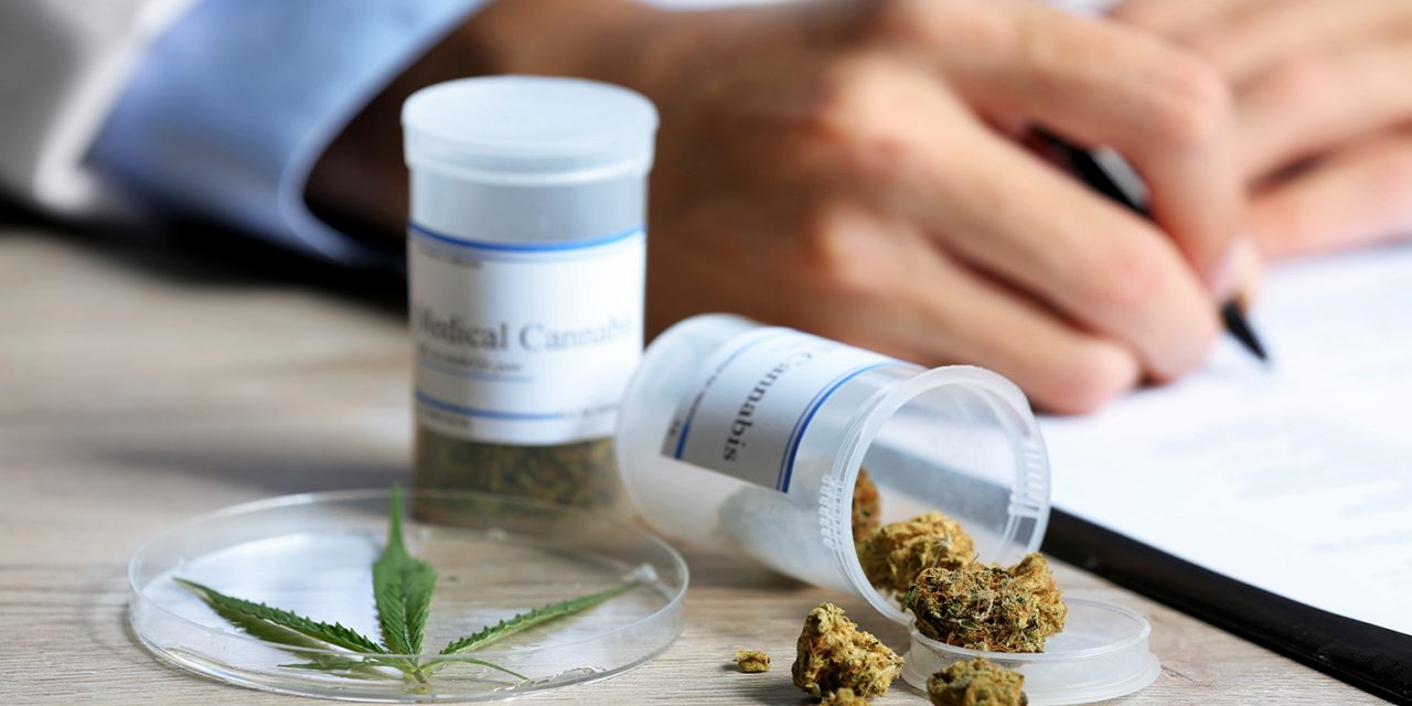 Ya se habilitó la compra del cannabis medicinal