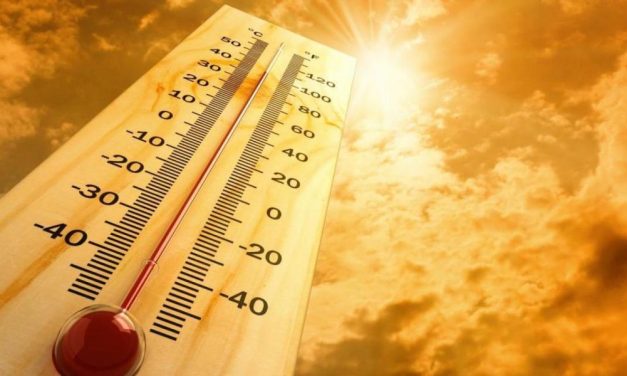 ¡Se vino el calor y se viene la Fiesta de CAFÉ EXPRESS!