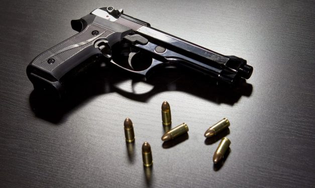 ¿Te parece bien tener armas en tu casa?