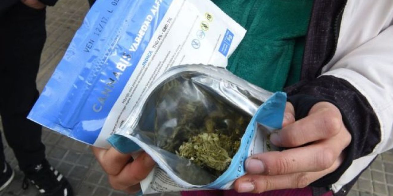 Amarilla convocará a autoridades de la Junta de Drogas para que expliquen aumento de consumo de marihuana